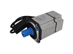 伺服电机的控制主站是什么？